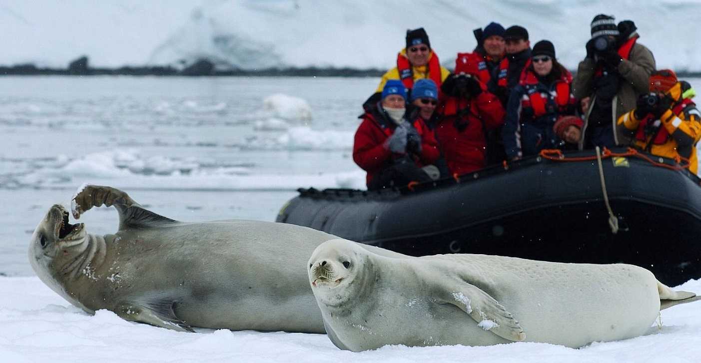 Turismo Antártica