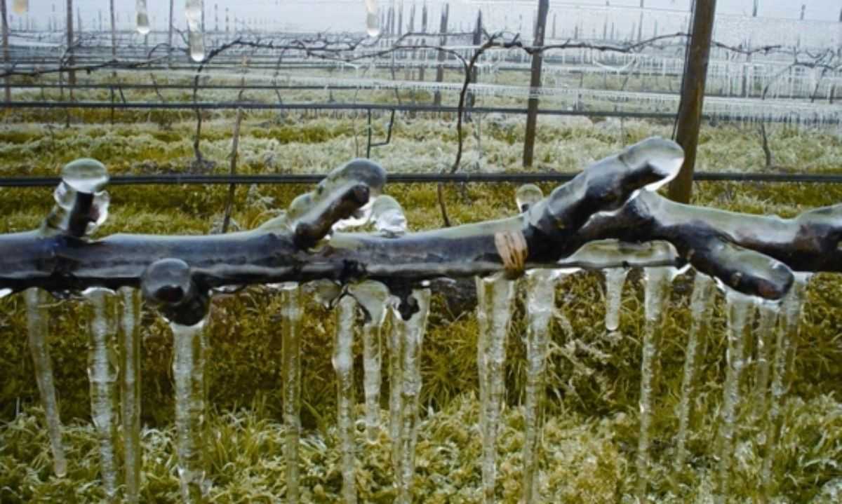 668fe0c48099d_1200x719