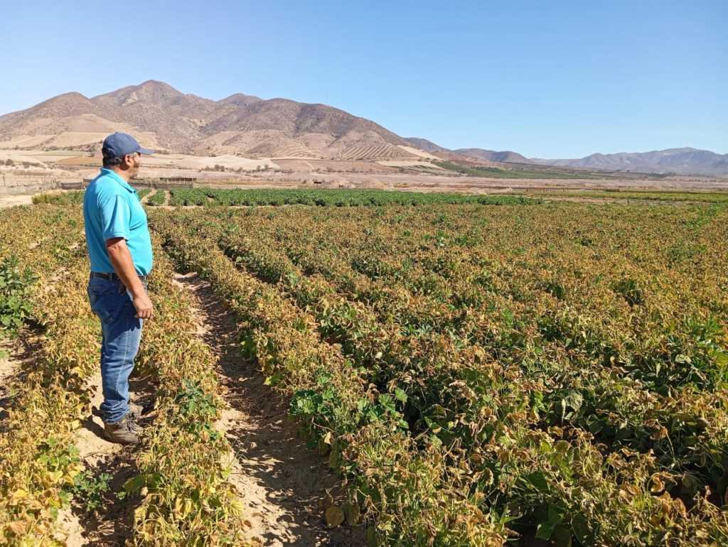 Subsecretaria-de-Agricultura-3-1024x770