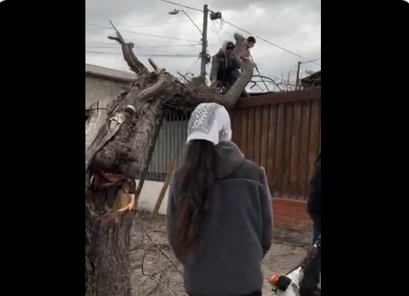 Opera Captura de pantalla_2025-08-21_193326_x.com