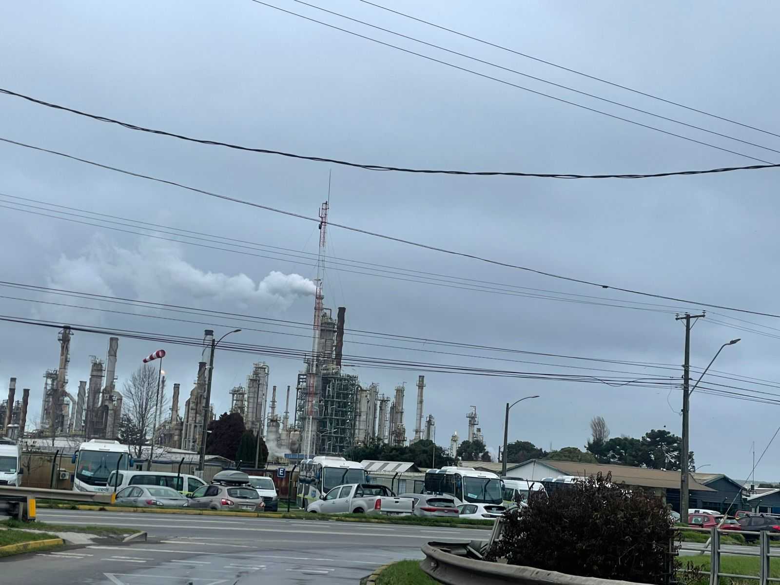 WhatsApp Image 2025-07-31 at 15.49.17