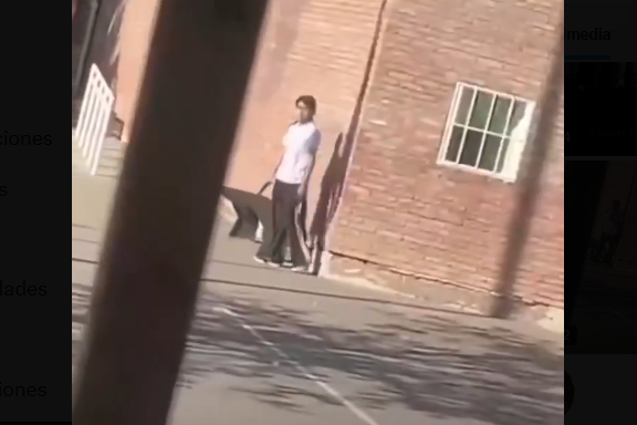 Opera Captura de pantalla_2025-09-10_150409_x.com