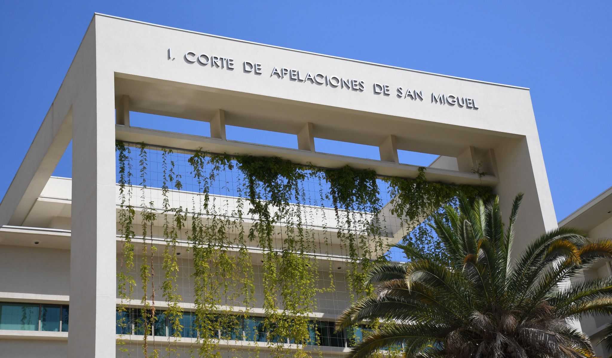 BpH98zvSLMWZIZK9U044