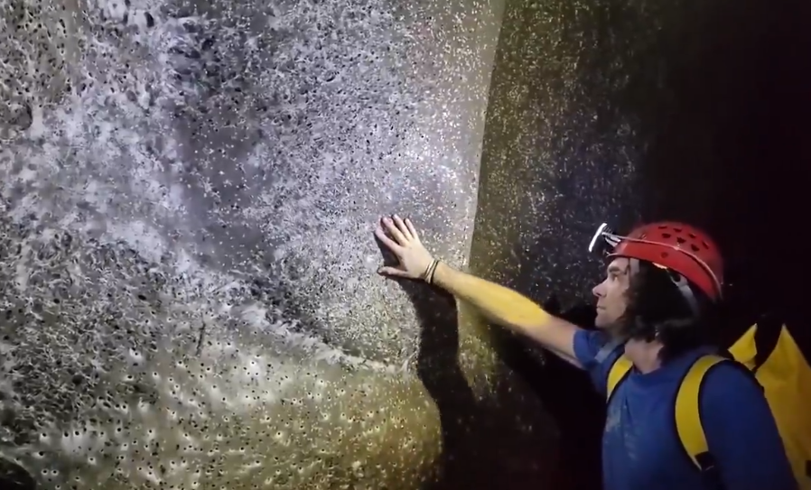 Opera Captura de pantalla_2025-11-07_174435_x.com