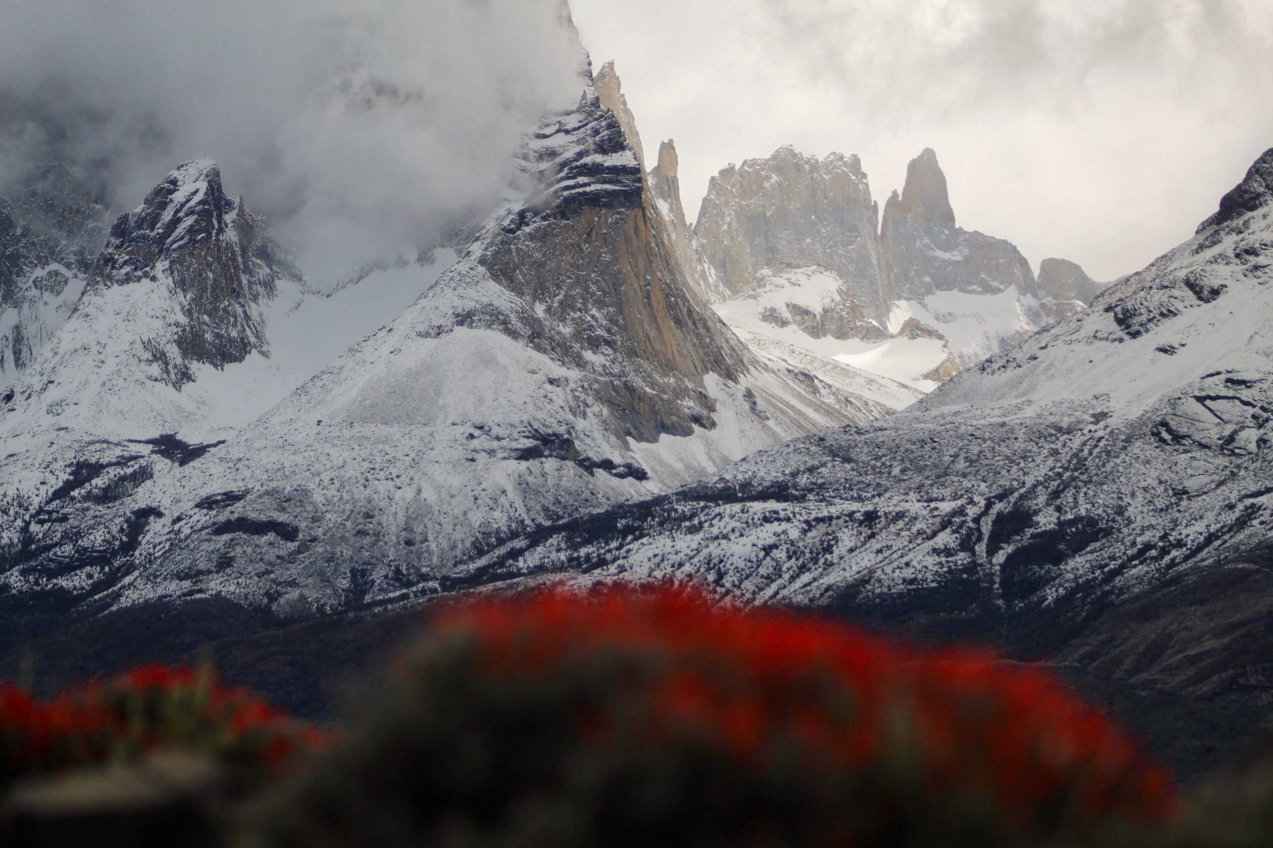 Torres del paine