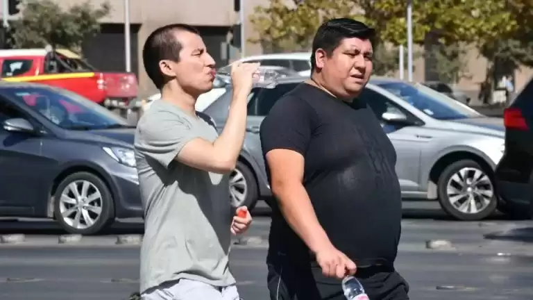 Ola-de-calor-en-la-Region-metropolitana-3-2-768x432