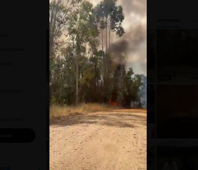 Opera Captura de pantalla_2025-12-04_182404_x.com