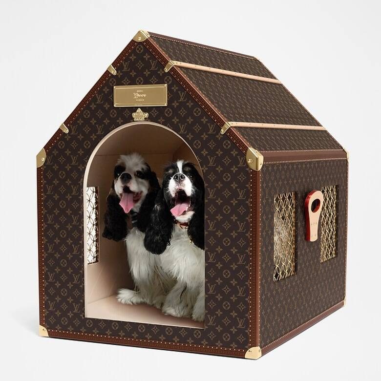 el-kennel-trunk-es-un-trasportador-para-perros-de-RJUORUFBURDDDL2CBJPR3E4SVQ