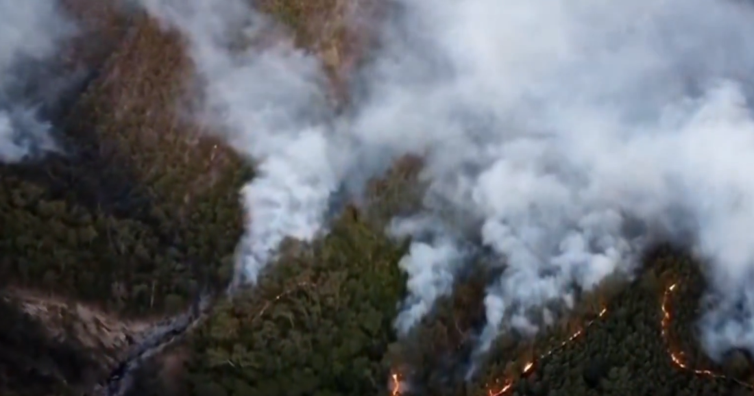 Captura de pantalla 2026-02-18 133209