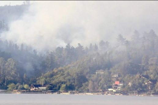 Opera Captura de pantalla_2026-02-17_151037_pbs.twimg.com