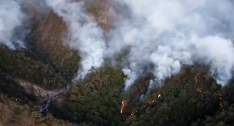 Opera Captura de pantalla_2026-02-27_152153_x.com