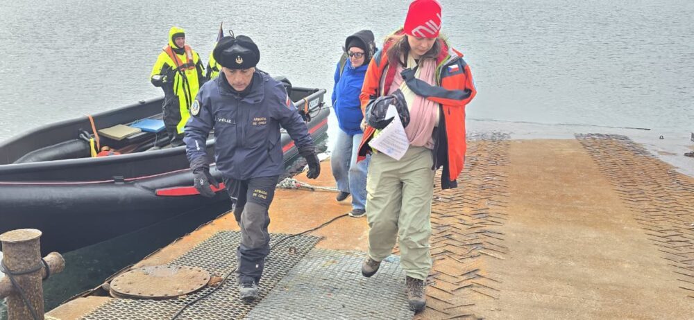 WhatsApp Image 2026-02-09 at 14.52.28