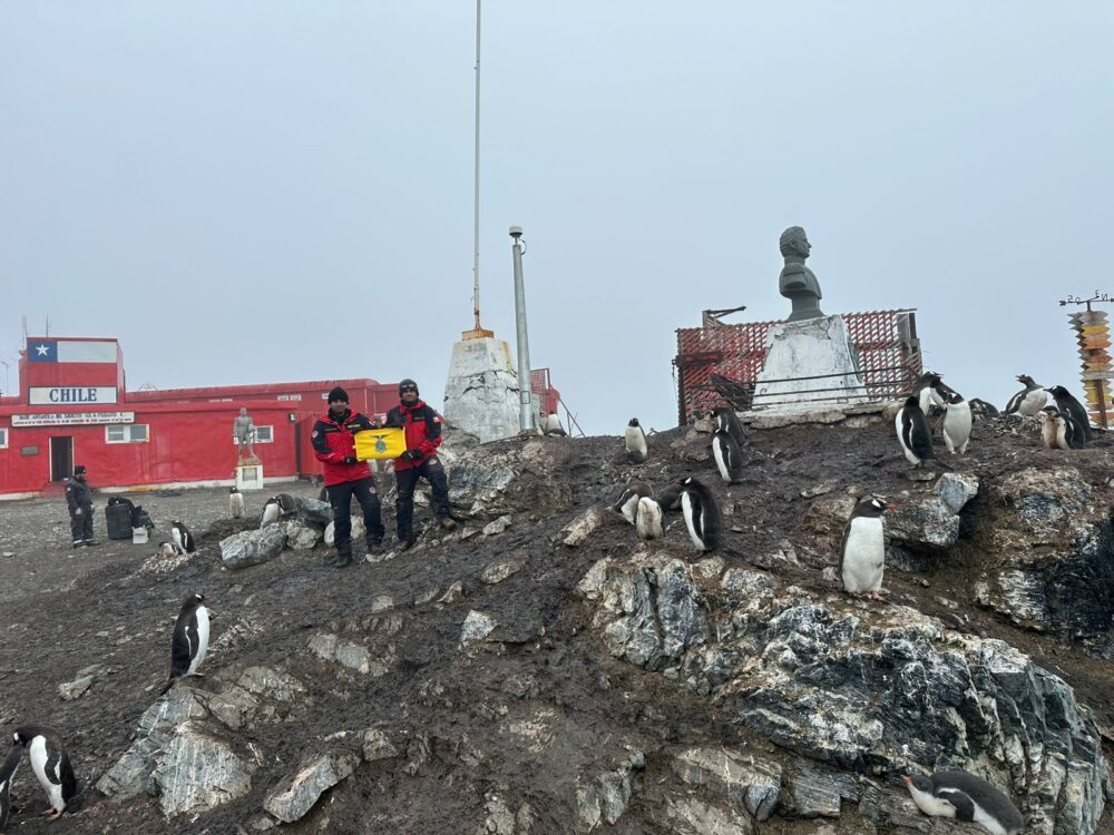 WhatsApp Image 2026-02-12 at 12.13.12