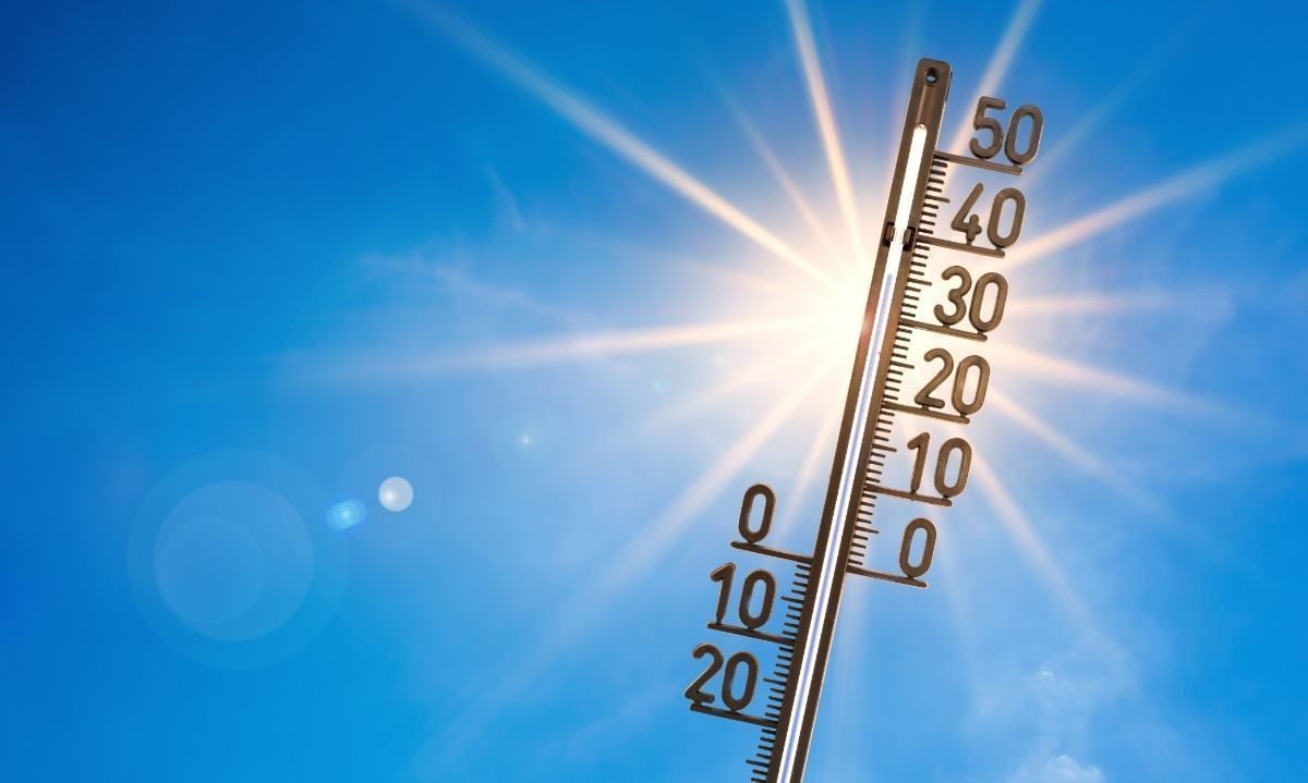 69149903f173c_1200x719