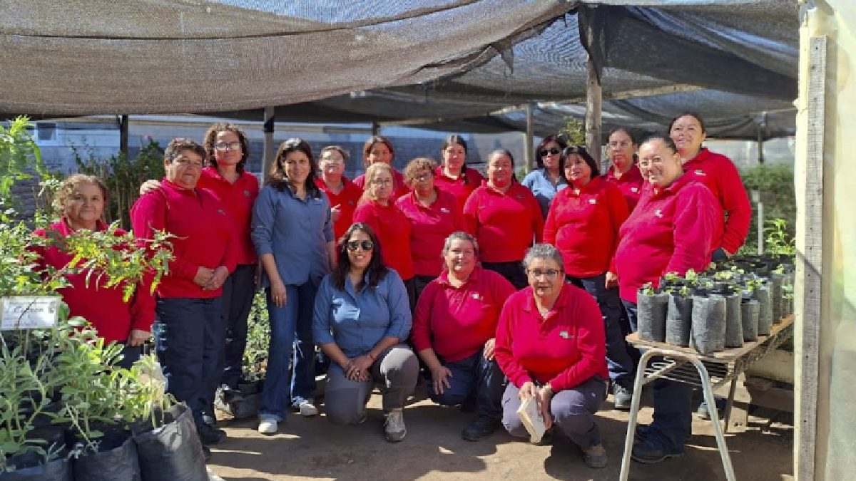 Beneficiarias de CONAF O’Higgins amplían sus conocimientos sobre el cuidado de plantas nativas