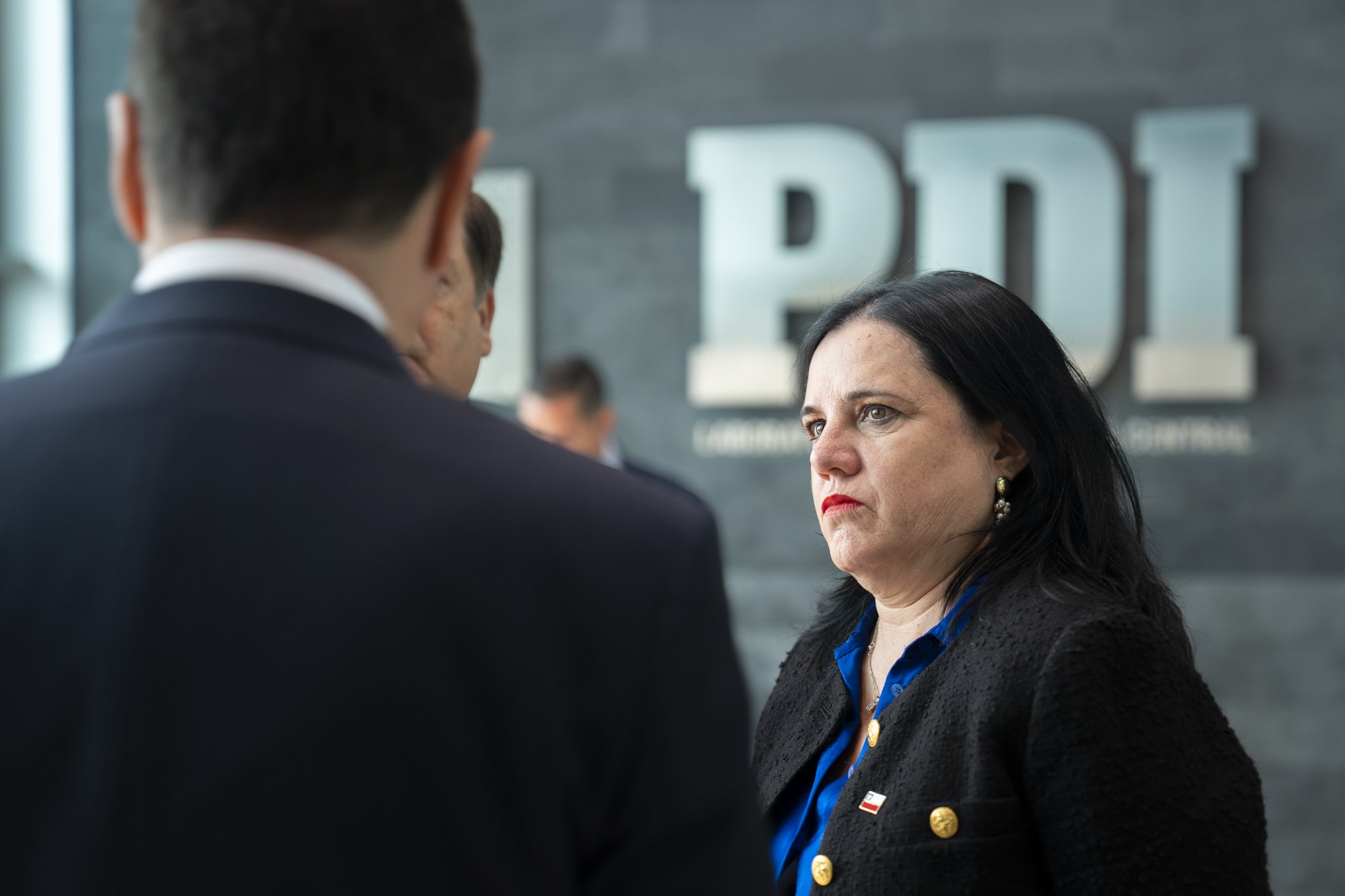 Steinert valora detención de presuntos agresores de ministra Lincolao: Pedirán cautelares más gravosas