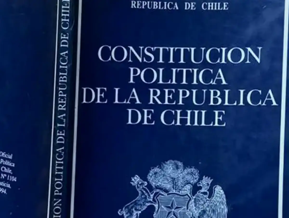 Otro error que muestra desconocimiento de la Constitución: Artículo 1 consagra resguardar la seguridad nacional y proteger a los ciudadanos 