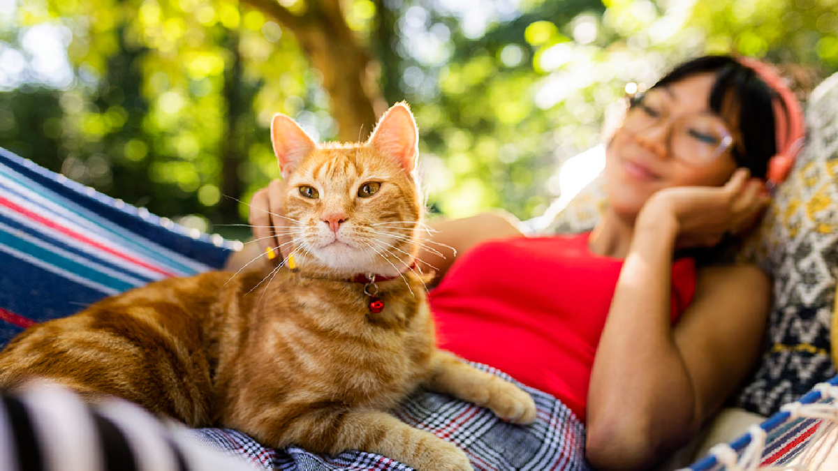 La guía en 5 pasos para que tu felino viva más y mejor