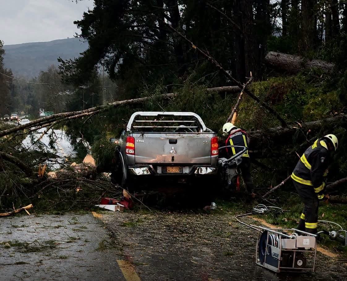 Temporal azota gran parte del Sur de Chile: 2 muertos en Panguipulli por caída de árbol