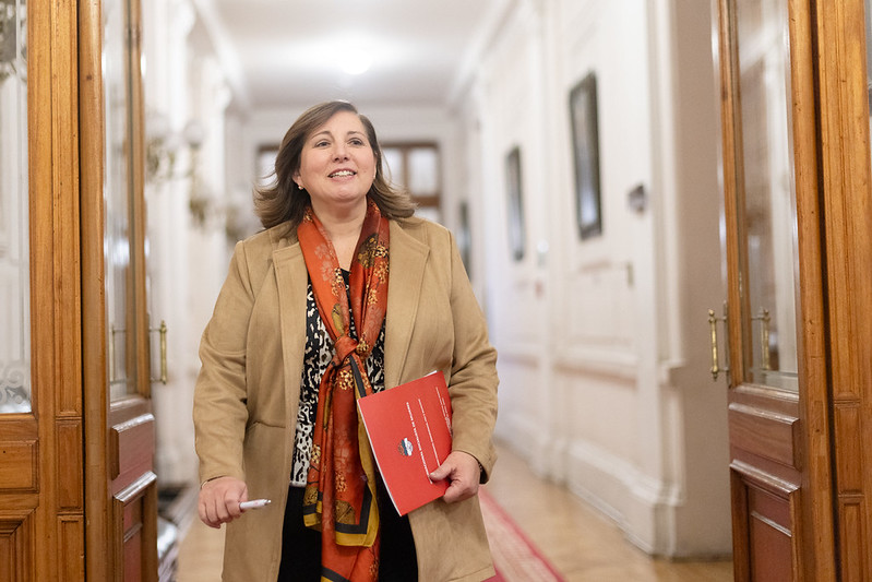 Senadora Vodanovic ofició a Interior por cuadro de Pinochet en DPP Linares
