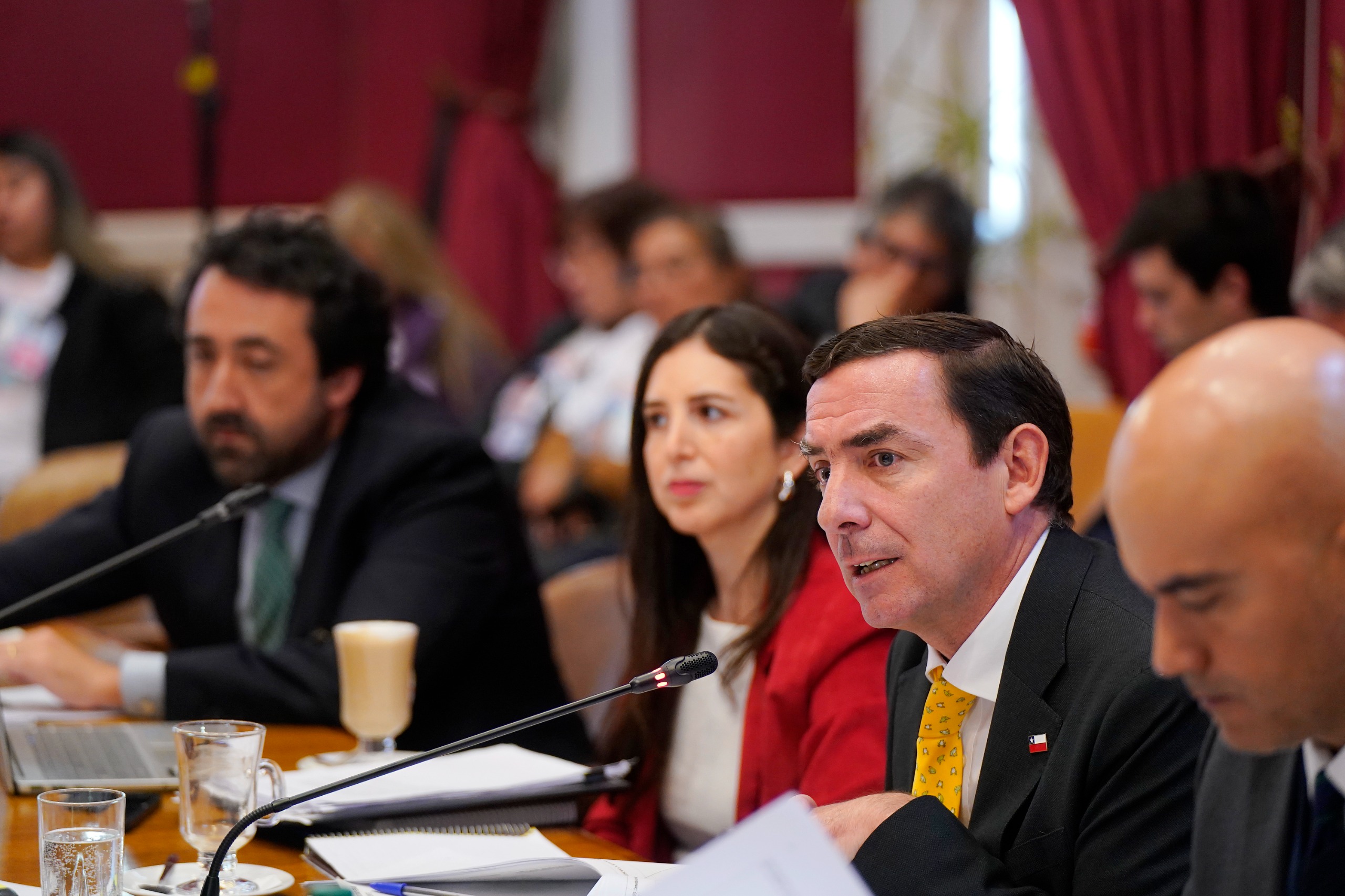 Comisión de Constitución del Senado termina votación de indicaciones de proyecto responsabilidad penal adolescente