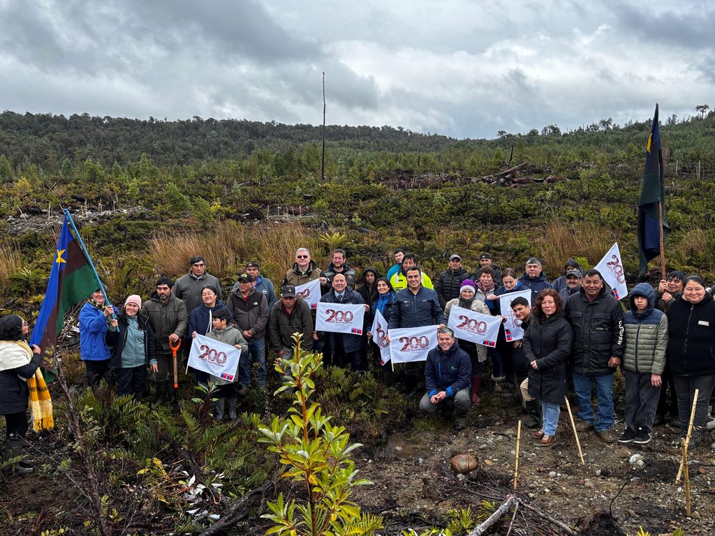 Comunidad Coihuín de Compu en Castro, recuperó 75 hectáreas de bosque nativo para enfrentar el cambio climático
