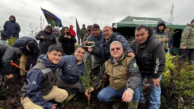 comunidad-coihuin-de-compu-culmina-exitoso-pro-comunidad-coihuin-de-compu-culmina-exitoso-pro-678x381.jpg comunidad-coihuin-de-compu-culmina-exitoso-pro-comunidad-coihuin-de-compu-culmina-exitoso-pro-678x381