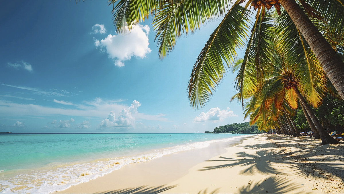 ¡Organiza tus próximas vacaciones! Descuentos de hasta 50% en vuelos con Arajet