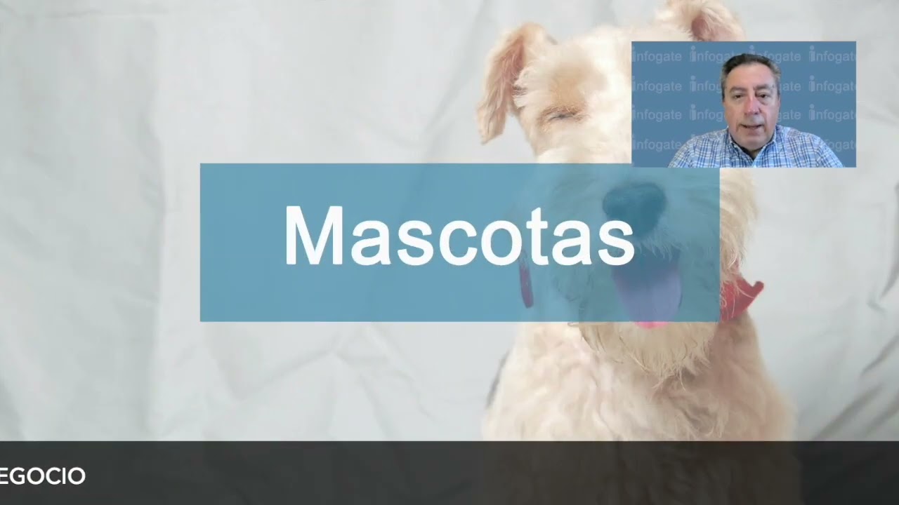 LCSL: NUEVA CONSTITUCION ¿APRUEBO O RECHAZO?