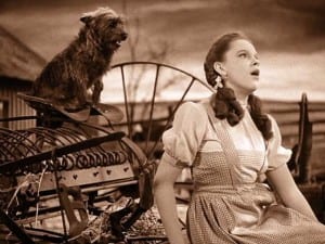dorthy-and-dog