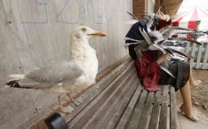 Banksy's Dismaland preview