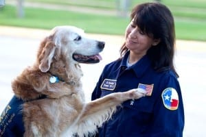 perro-rescate-11s-superviviente-16-cumpleanos-bretagne-1