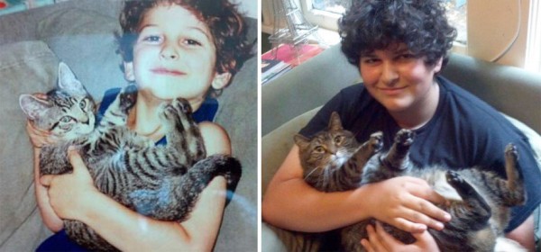 gatos-creciendo-antes-despues-3