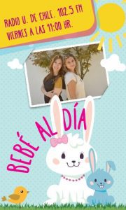 Banner Bebé al día 2016