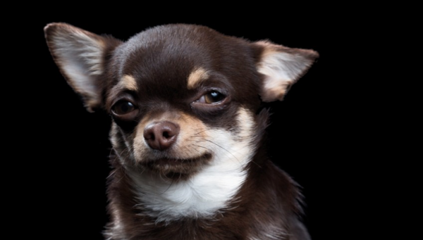 Captura de pantalla 2016-04-07 a las 6.57.04 p.m.