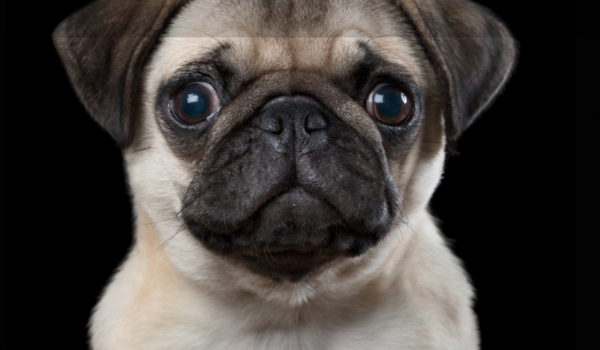 Captura de pantalla 2016-04-07 a las 6.57.48 p.m.