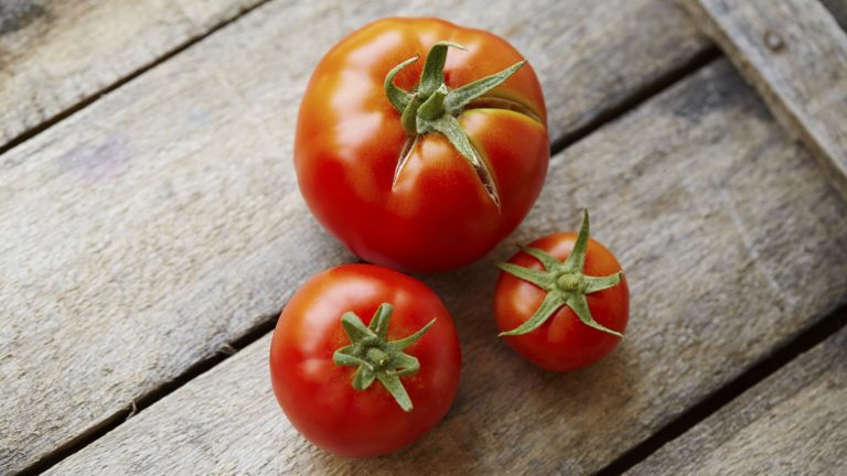 Inflación llegó a 0,2 por ciento en mayo con alza en tomates que llegó hasta el cielo