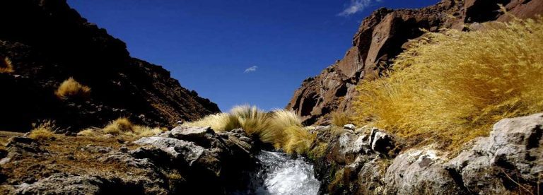 Demanda en curso: CIJ notifica a Bolivia sobre la demanda de Chile por el Silala