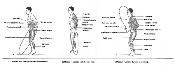 mc3basculos-en-el-salto-de-cuerda