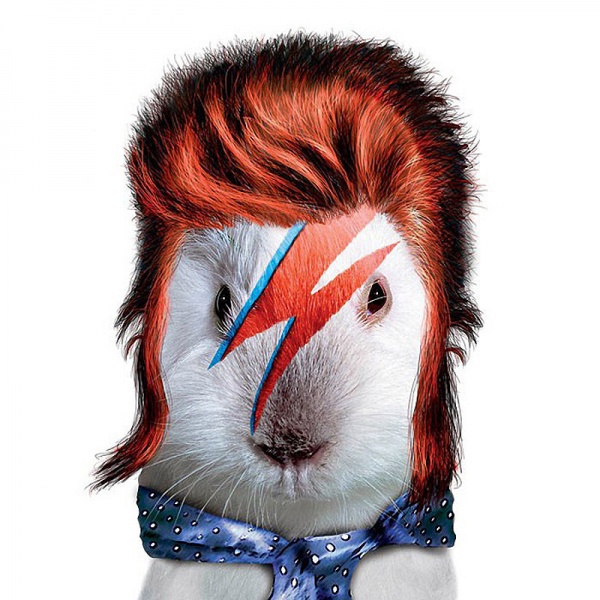 David-Bowie1