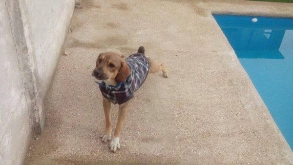 13686794_10154481423017526_5904942324322668412_n