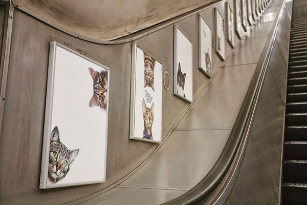 anuncios-gatos-estacion-metro-londres-4