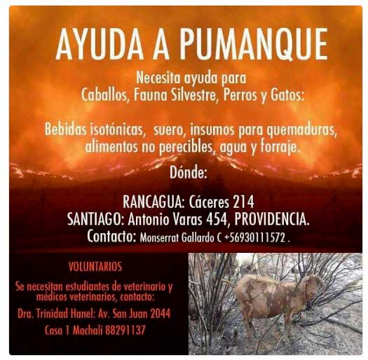 WAYUDAPUMANQUE21enero