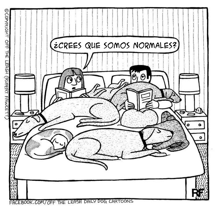 comic-perros-offtheleash-10