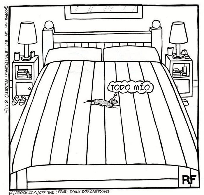 comic-perros-offtheleash-11