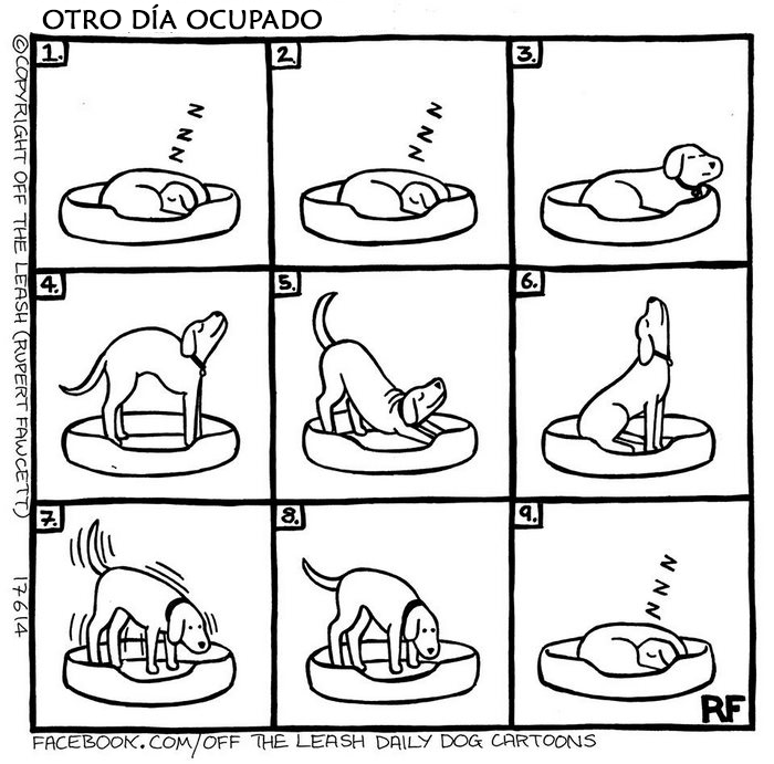 comic-perros-offtheleash-3