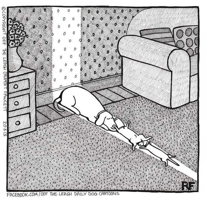 funny-dog-cartoons-off-the-leash-36-5888788e755e3__700