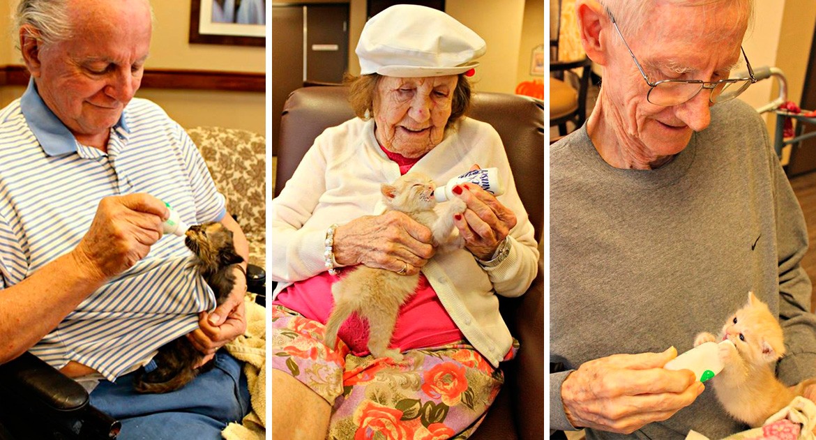 pacientes-demencia-gatitos-3.jpg.imgw.1280.1280