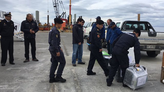 foto_0000001420170215124408