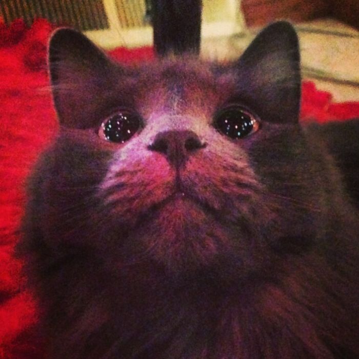 58bd554fb5c3b_XXLclry__700